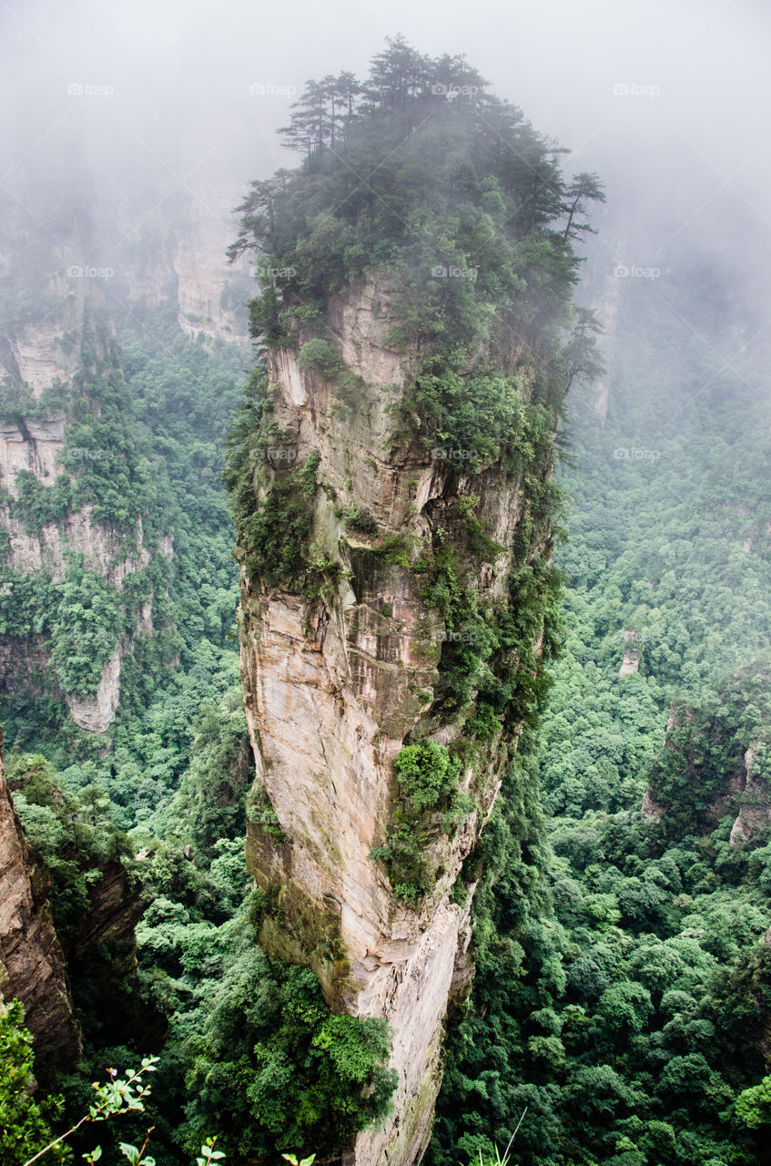 Zhangjiajie forest, china 