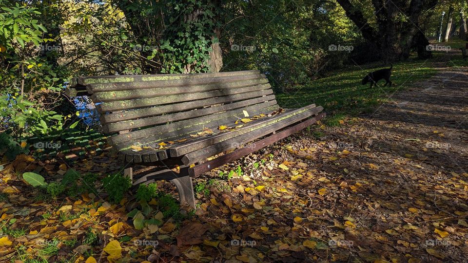 Banco otoñal