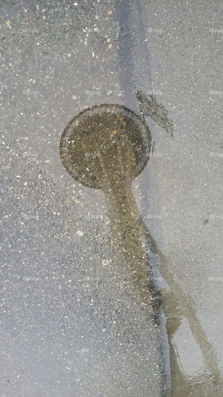 Needle In A Puddle