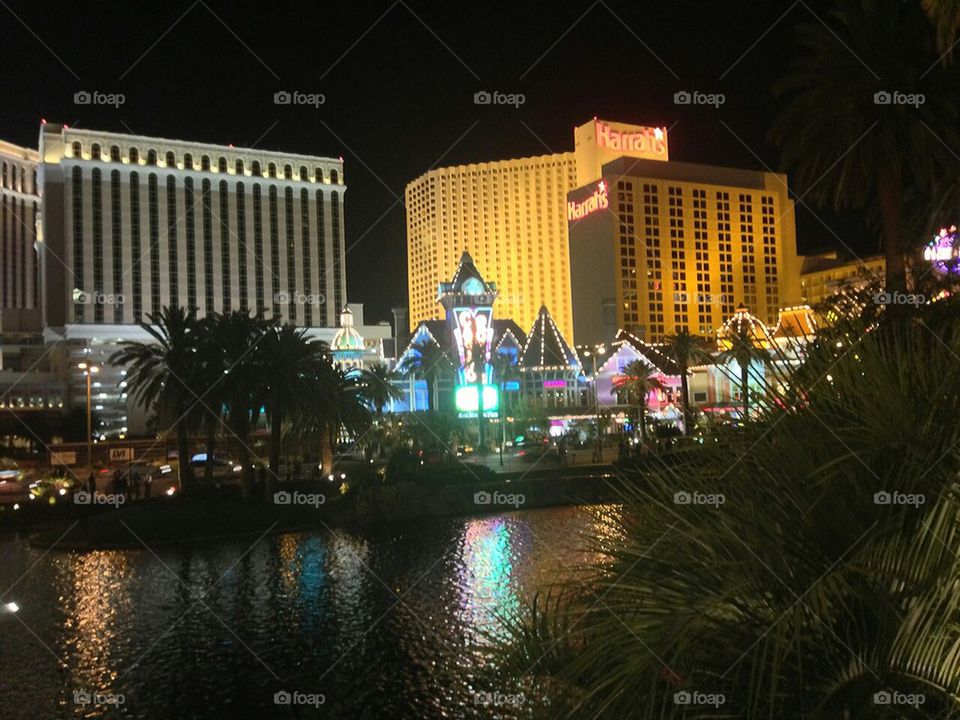 Vegas nights 
