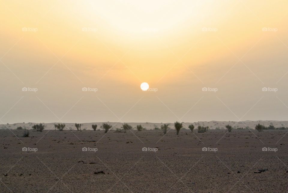 Desert sunset