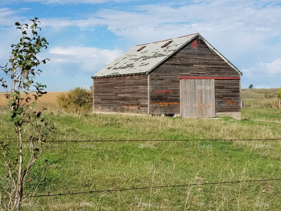 old gray barn