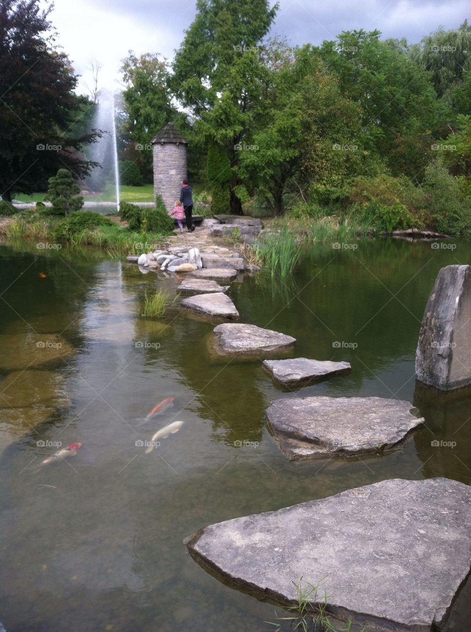 Pond Walkway