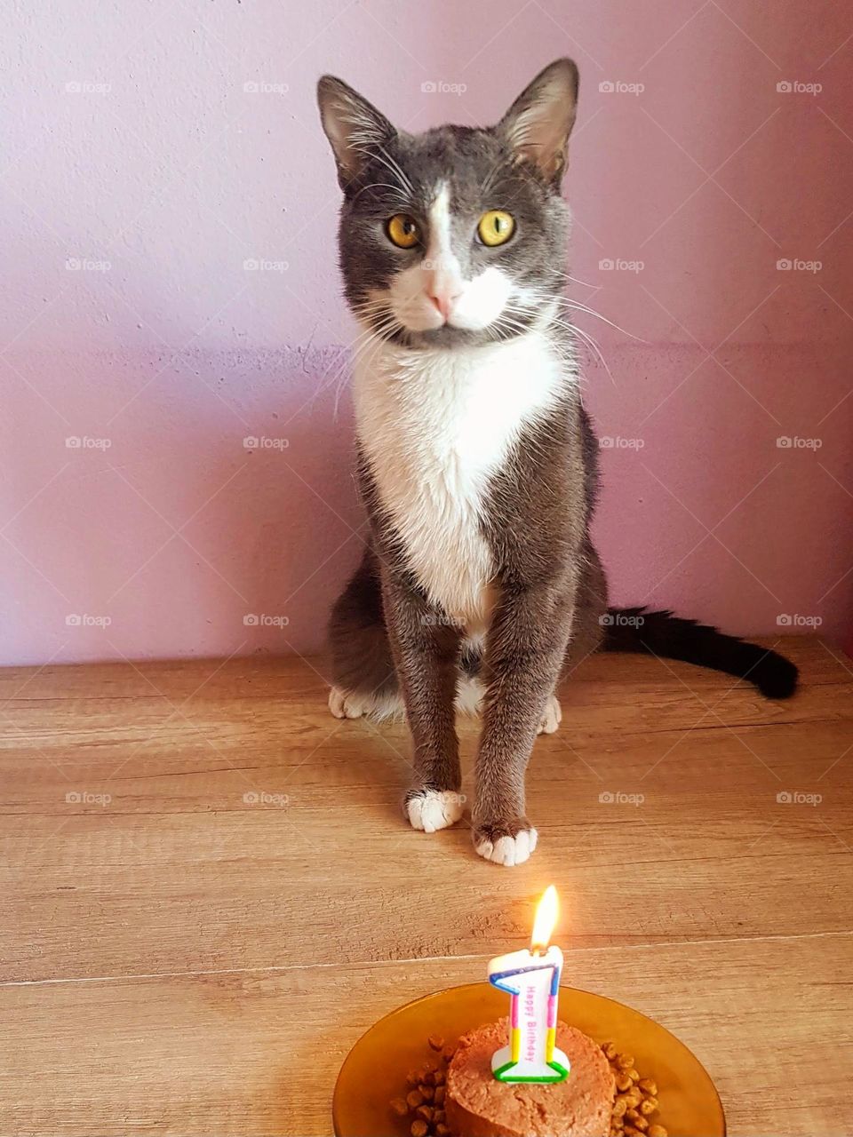 Felix is surprised by the present he received on his birthday