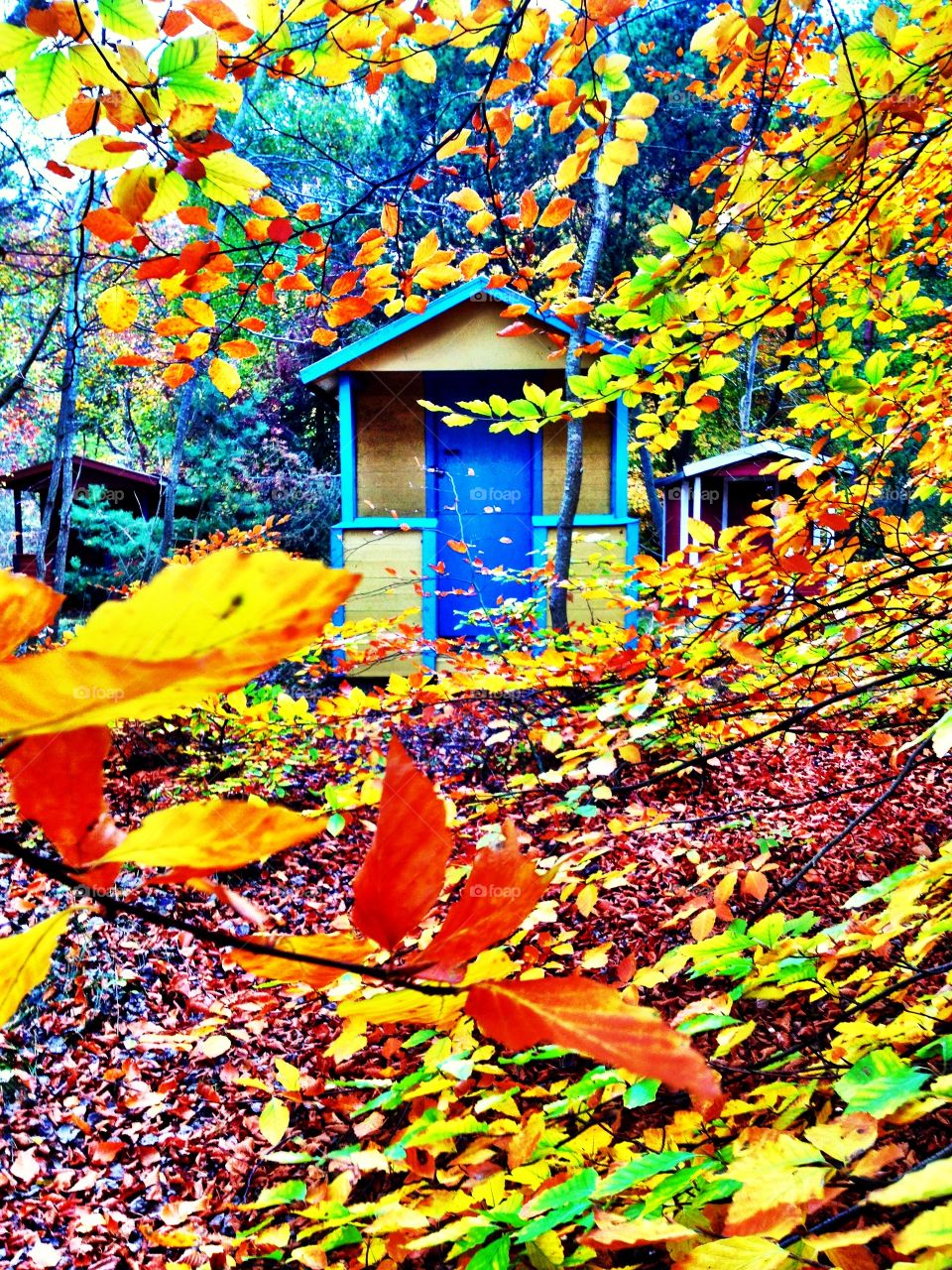 Beachhut in Autumn colors