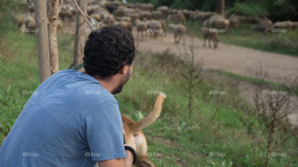 Contemplando un Rebaño de Cabras y Ovejas