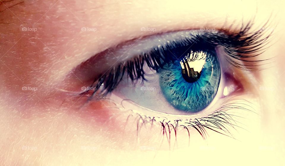 Extreme close-up of Person eye