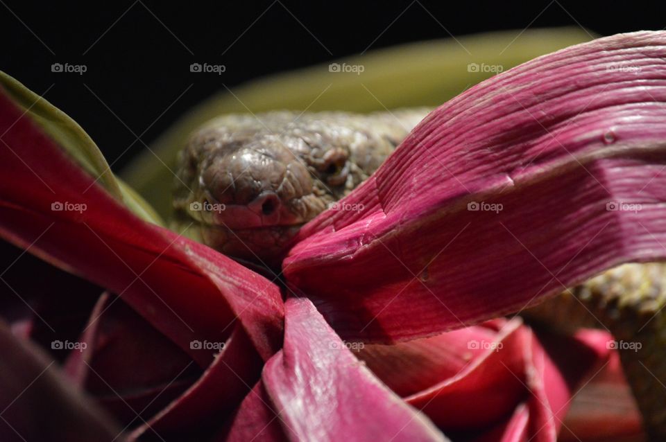 One of my favorite shots from that trip. 💗