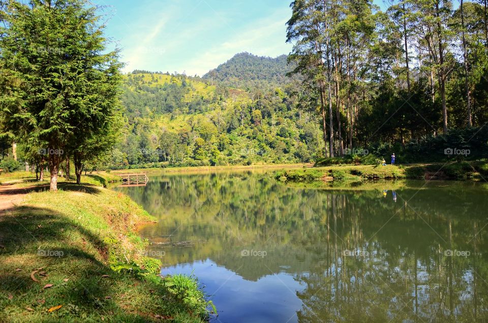 Cisanti lake