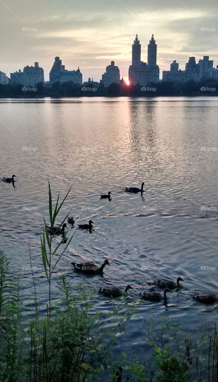 Dusk at Central Park Reservoir. at Reservoir