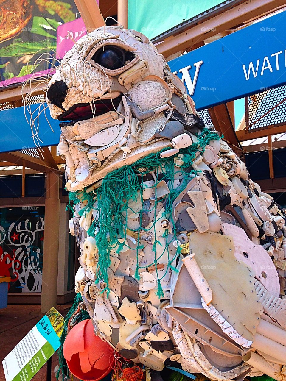 Lidia the seal . Ocean sculpture made out of ocean trash 