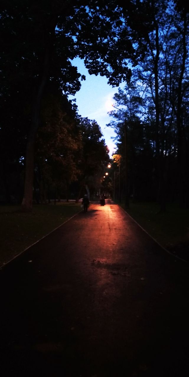 Evening