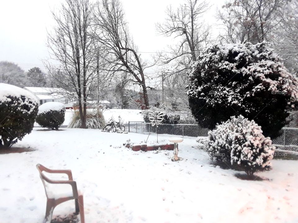 snowy front yard