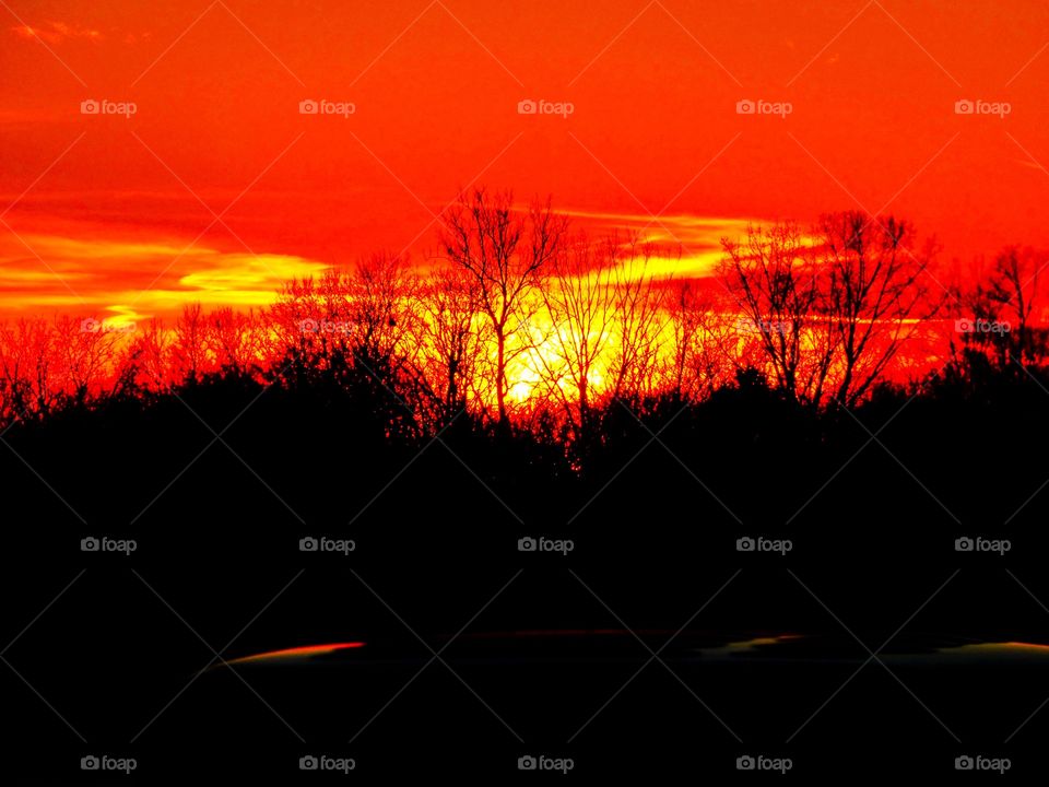 Sunset behind the trees