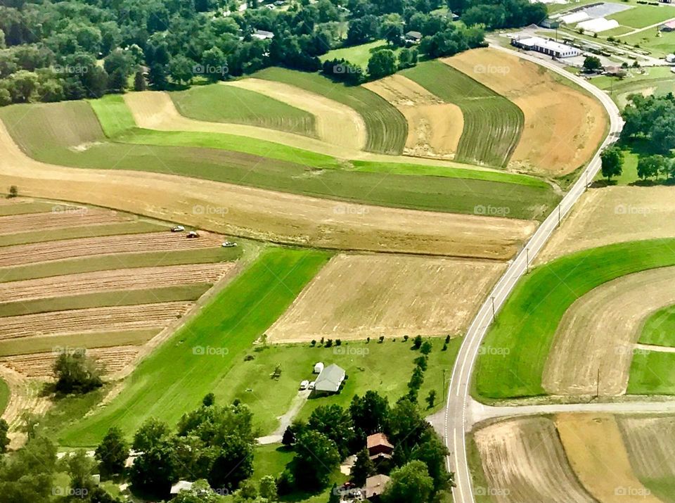 Aerial view of a farm 