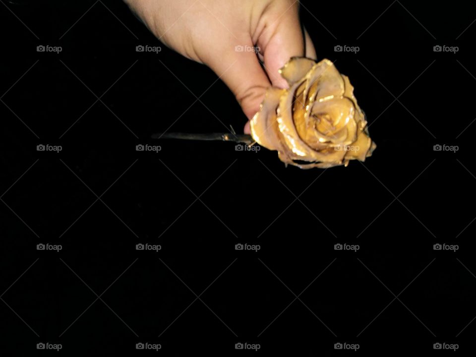 holding flower