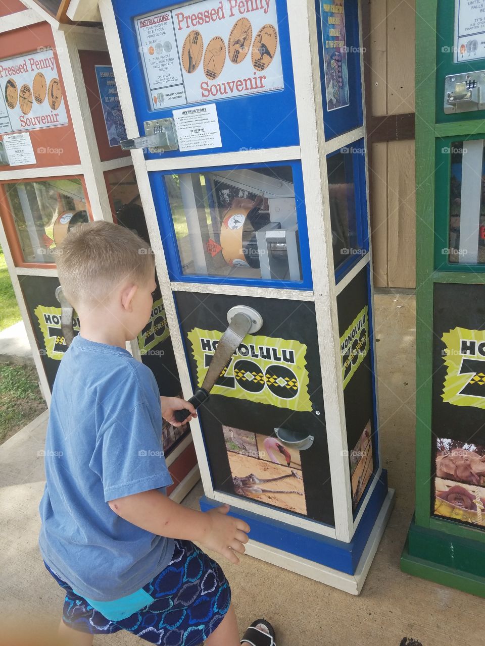 Boy gets collector's coins at honolulu zoo