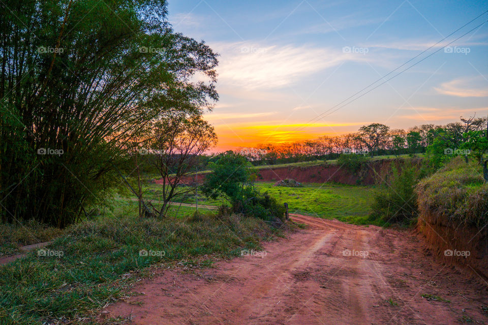 Footpath through grassy field