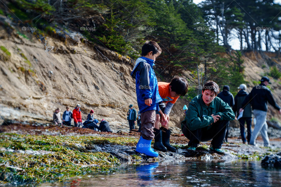Tidal Pools