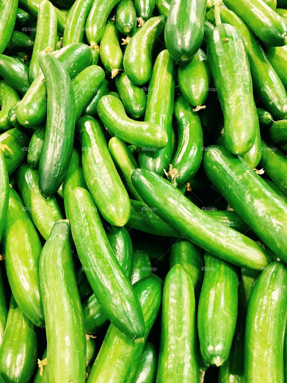 Full frame of green cucumber