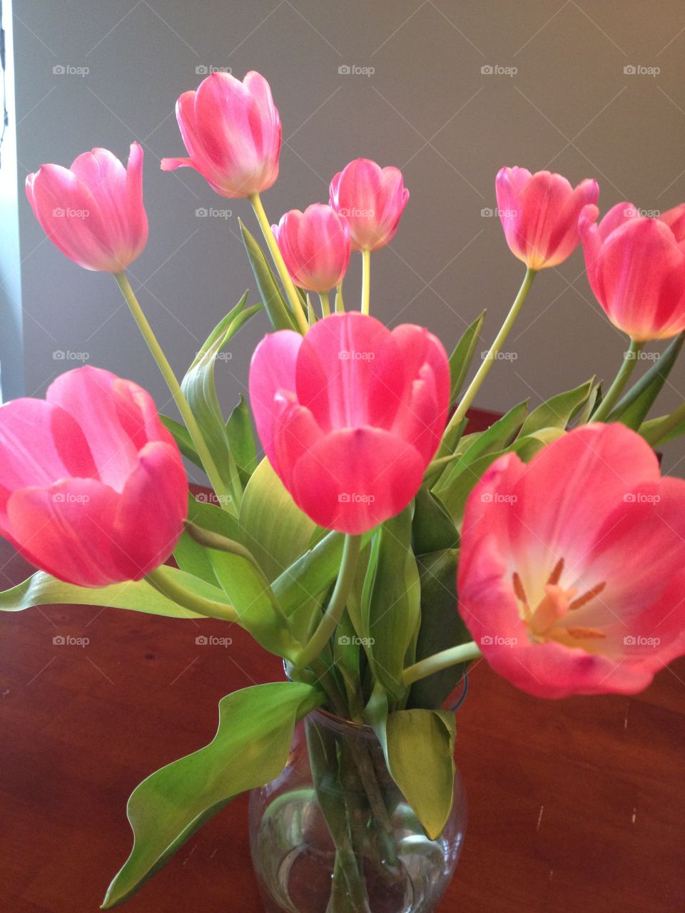 Pink tulips 