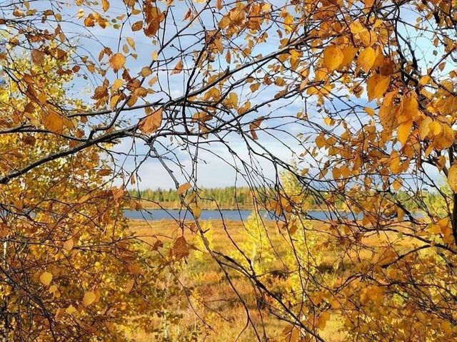 Золотая осень