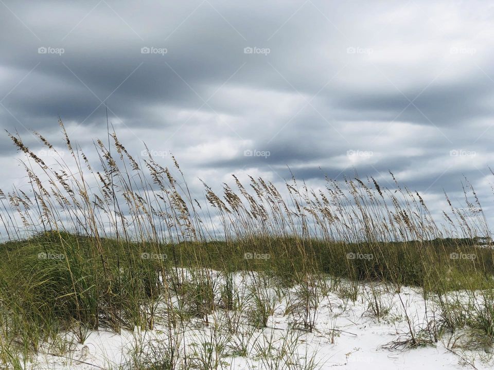 Heavy cloud cover near the beach with sand dunes and sea oats in the foreground.