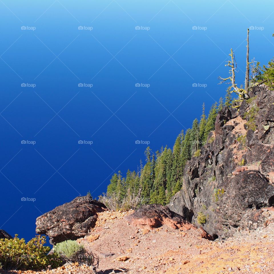 The steep tree and boulder covered ledge into the deep rich blue waters of Crater Lake in Southern Oregon on a beautiful summer morning. 