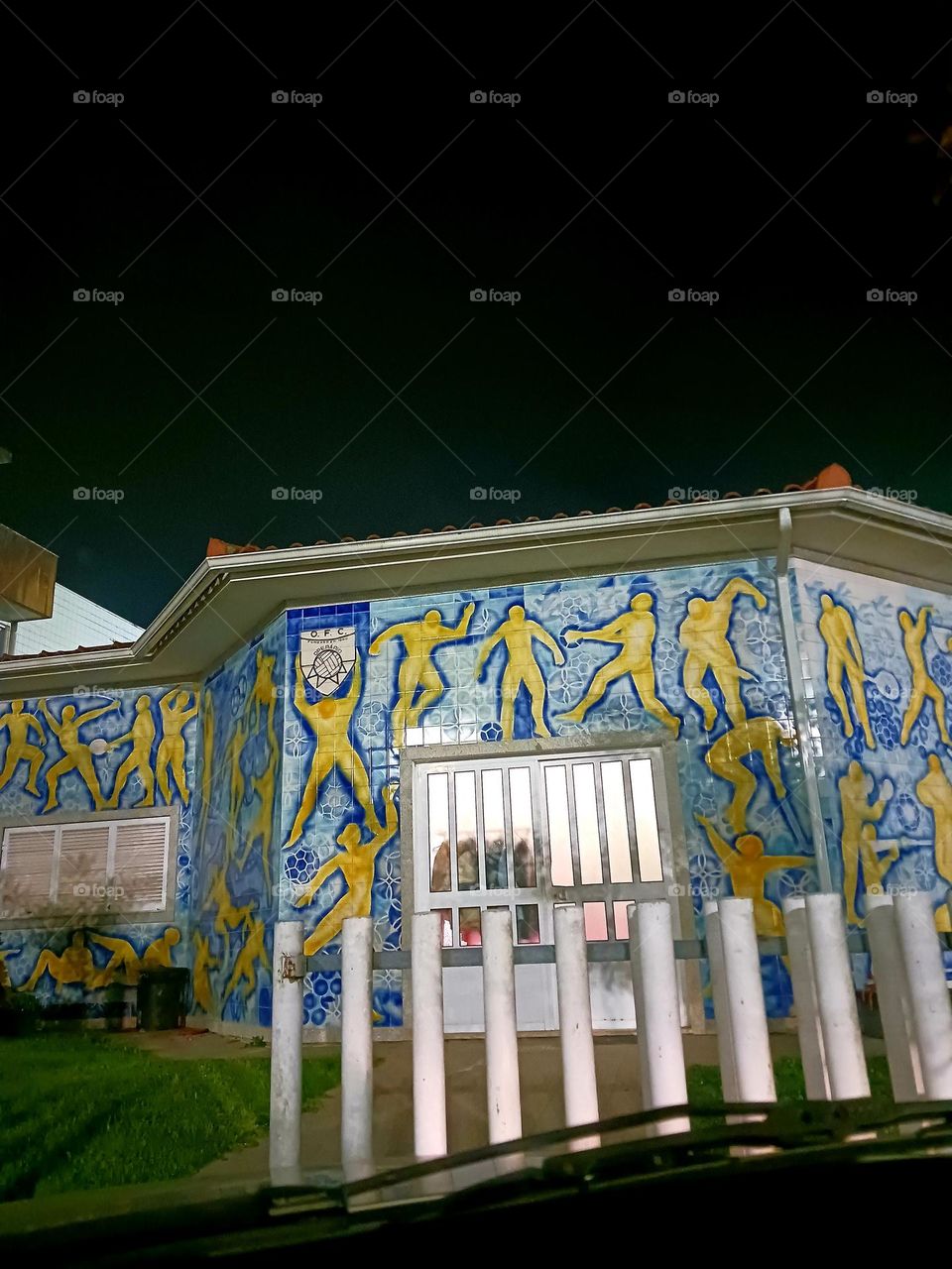 Windows on the night