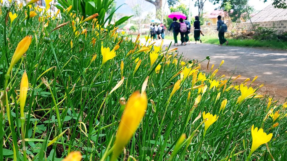 Go back home from school 🙂