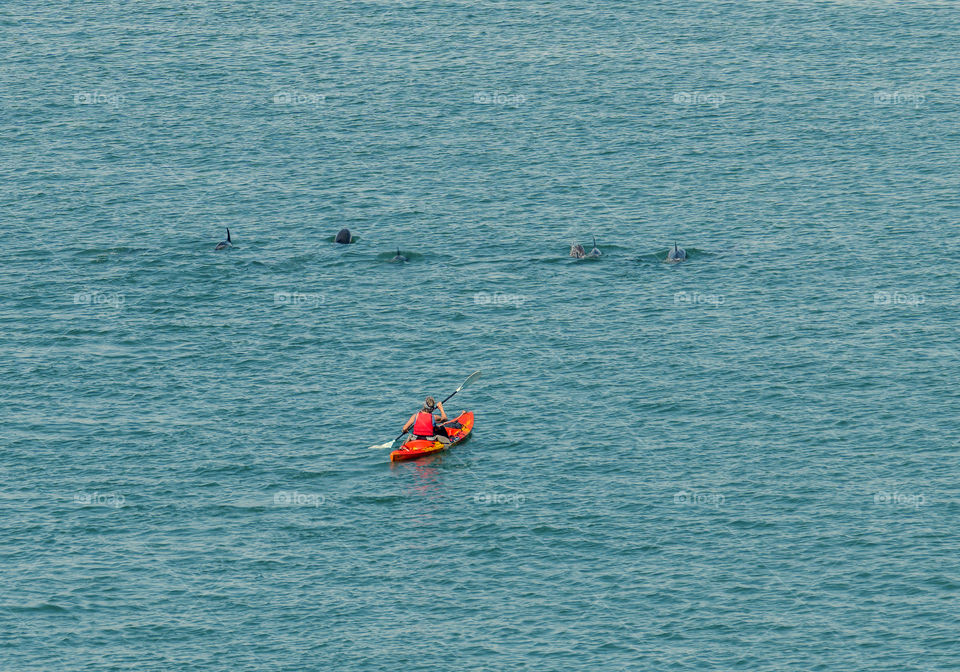 Kayak and dolphins.
