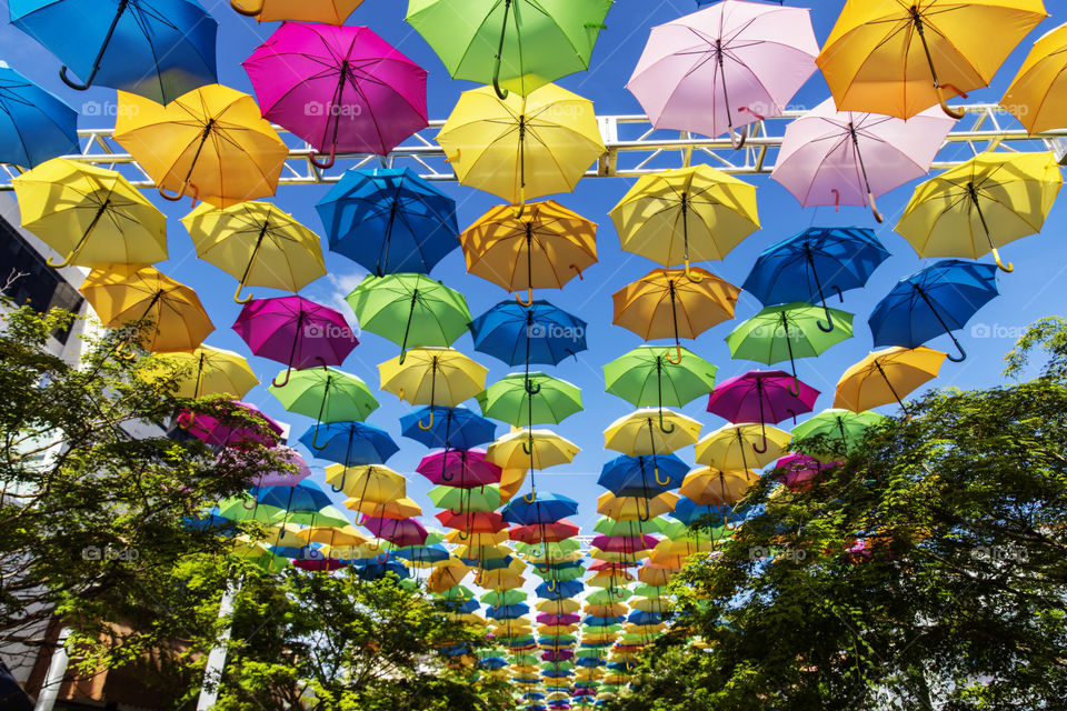 Miami Umbrella Skies