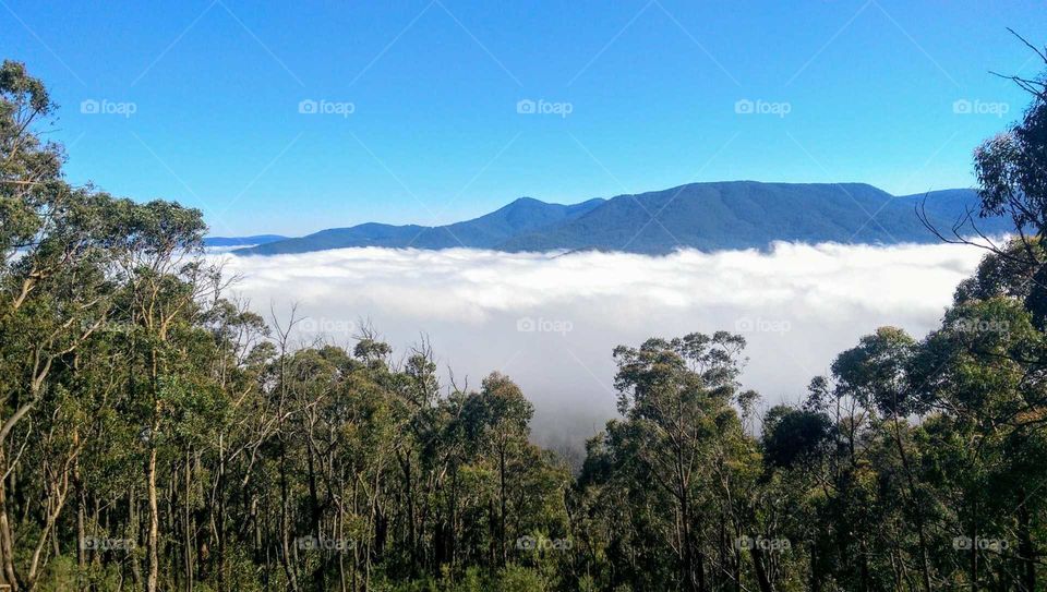 Morning above the clouds