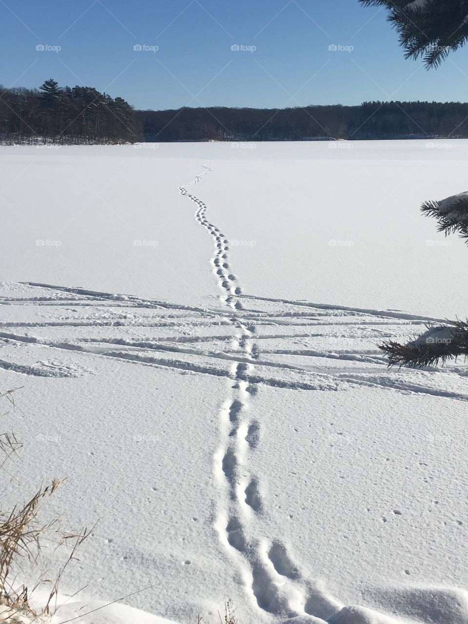 Footprint trail across a frozen lake