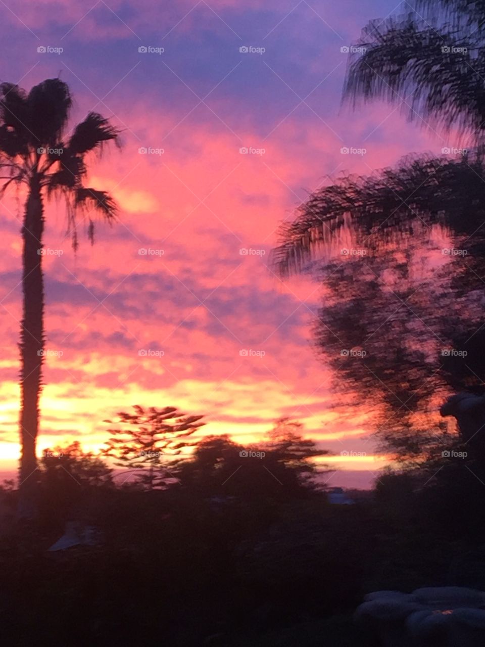 Pastel sunset on the Pacific ocean