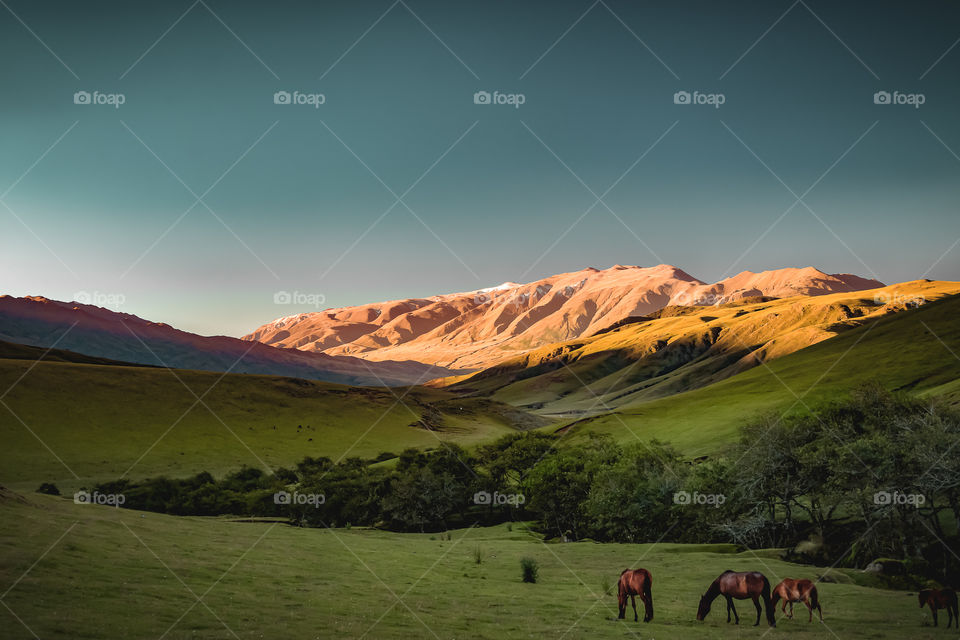 Landscape 
Paisaje
Valle
Turismo 
Tranquilidad 
Paz Travel

Instagram @pamroblesspace