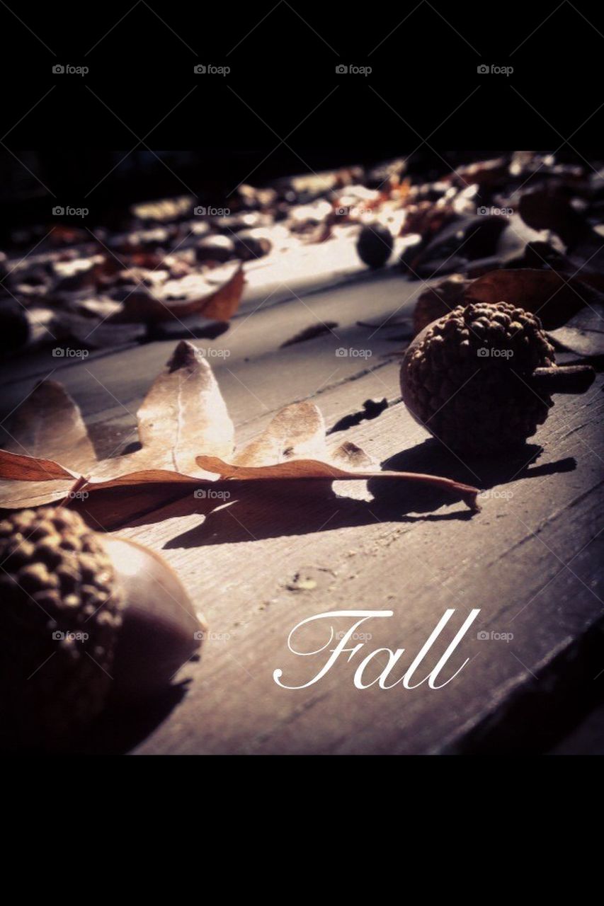 Fall