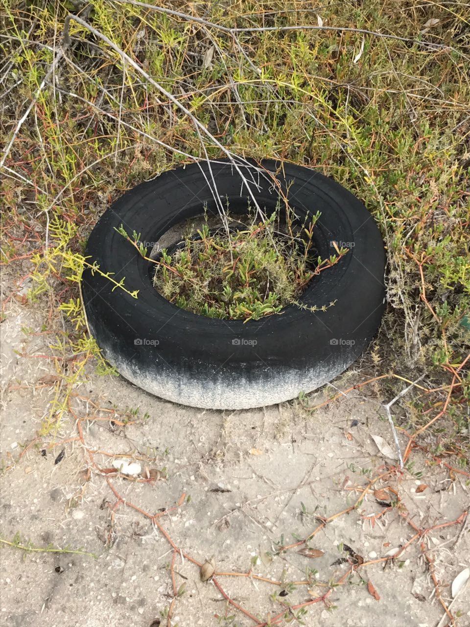 Abandoned tire