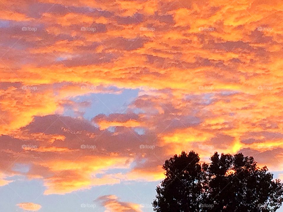 Bright orange clouds at sunset