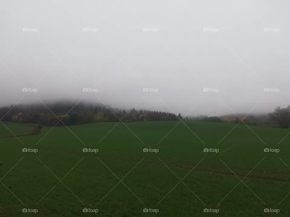 Nebel