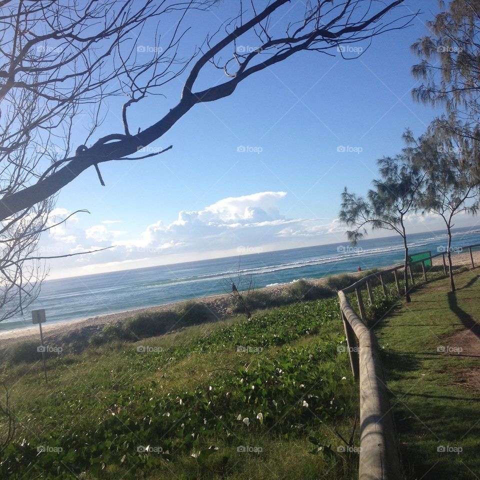 Fence line at the beach