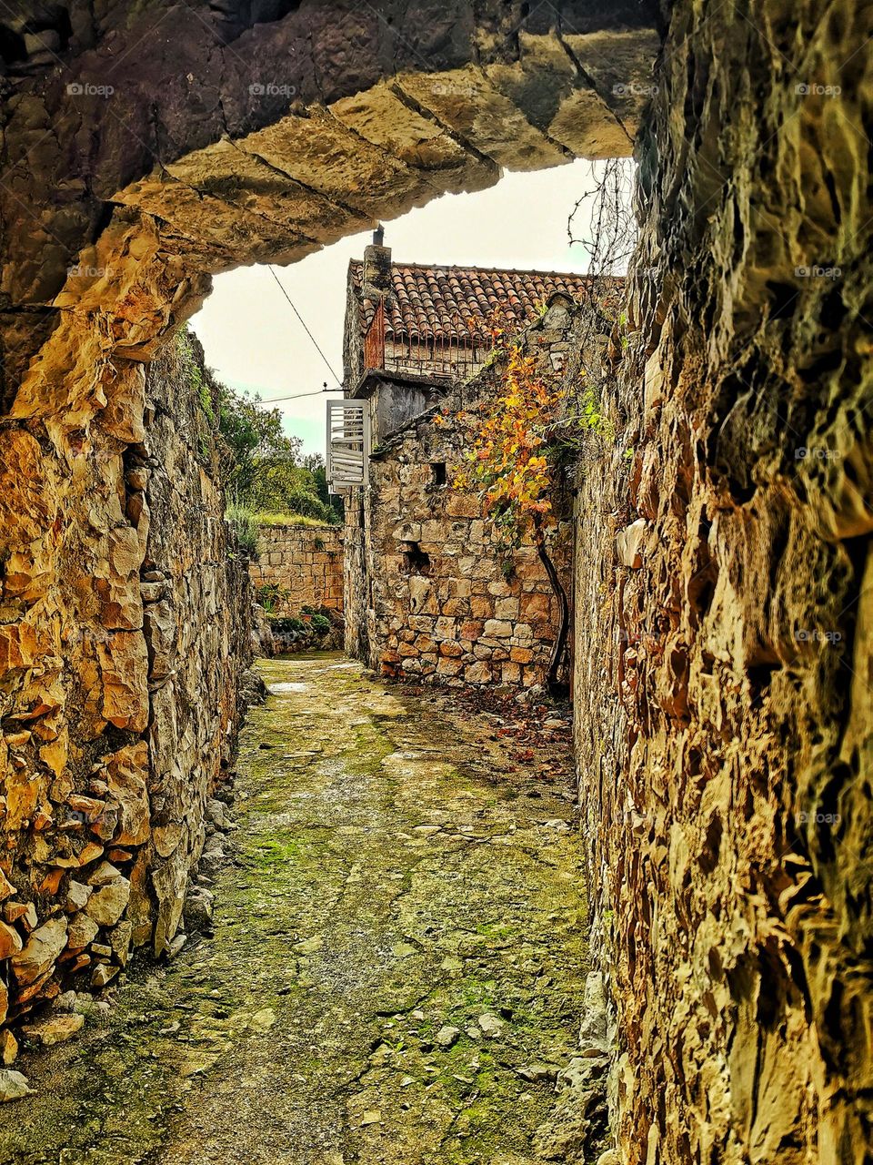 Village in Konavle , Komaji