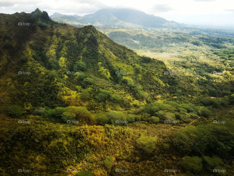 Scenic view of green mountain