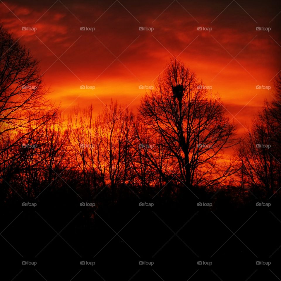 Sunset
Gävle
Sweden