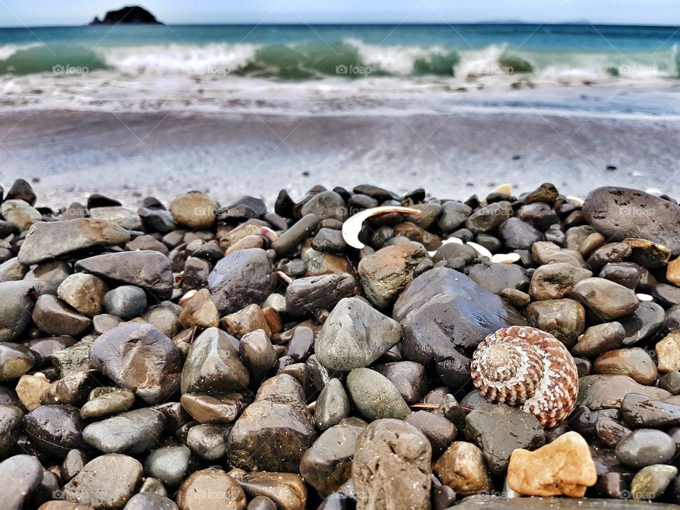 Ocean Beach Bay Rocks Shells amd Waves Summer
