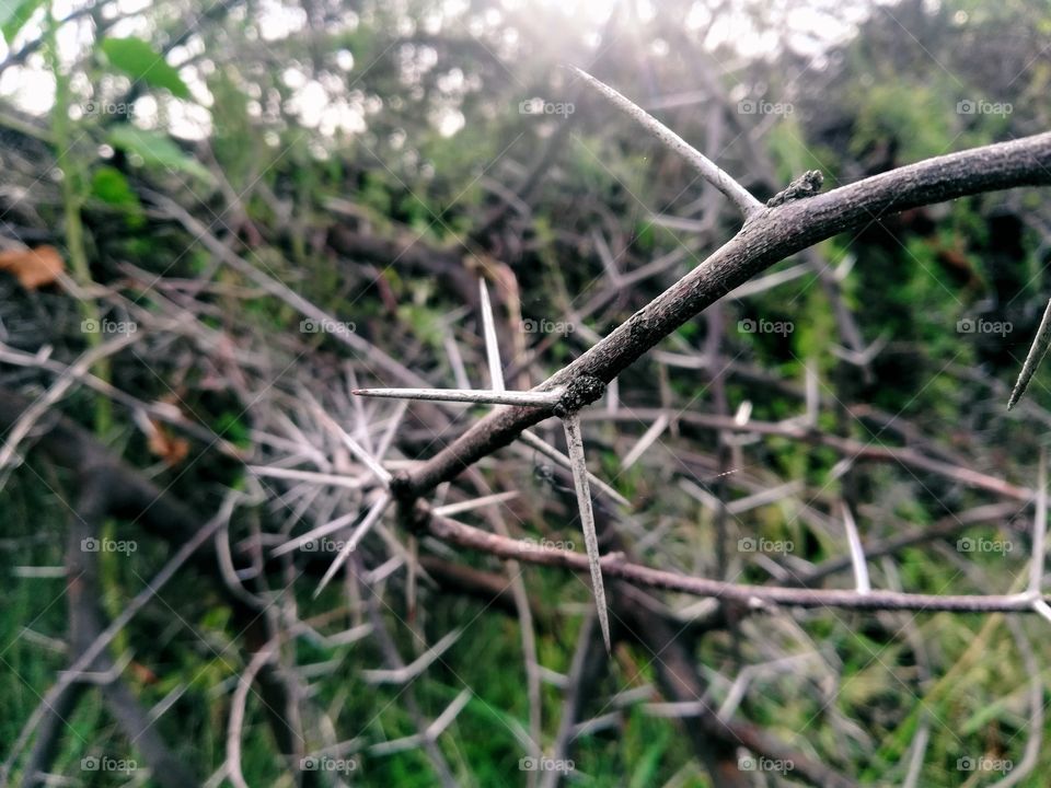 the first sign of autumn