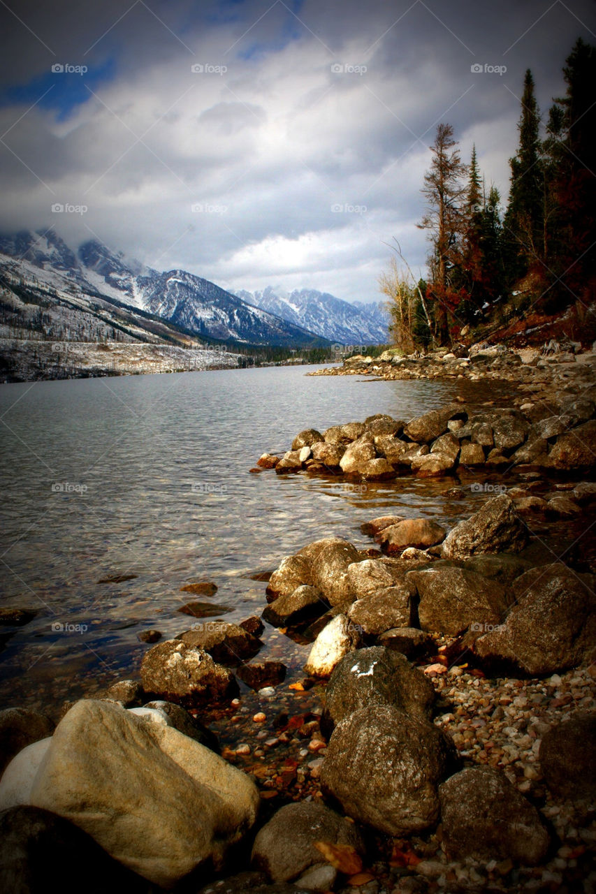 snow winter trees lake by lmtrent