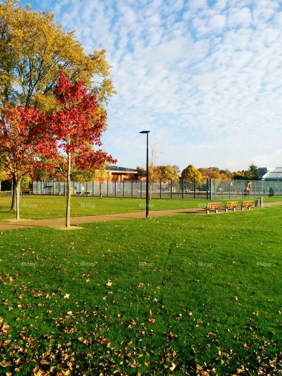 walk in the park autumn