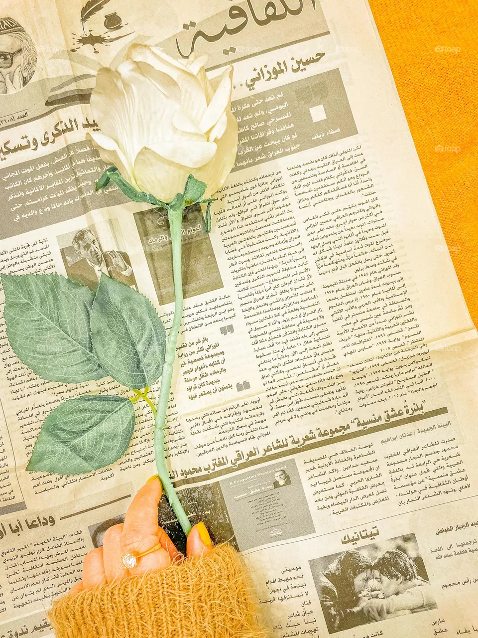 Rose🌷