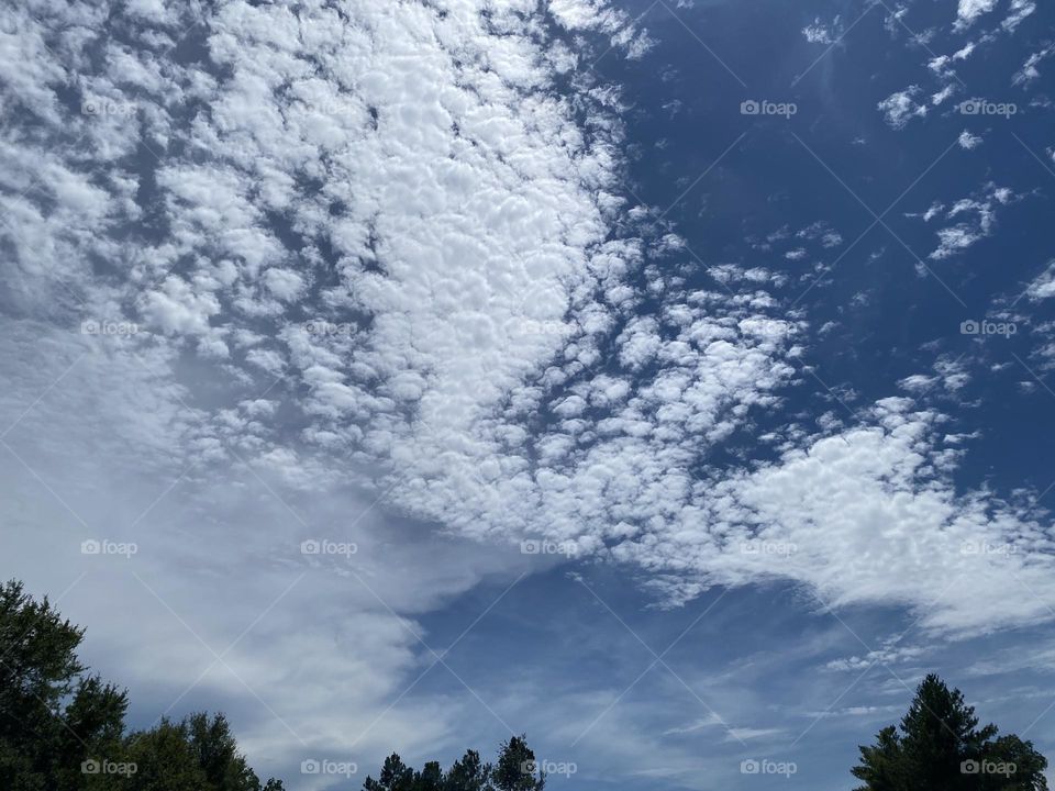 A beautiful view to look up at I’m in this space 